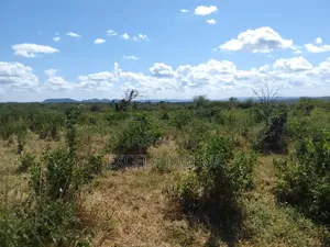 200 Acres Farmland for Sale in Mkata, Handeni, Tanga