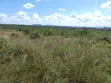 200 Acres Farmland for Sale in Mkata, Handeni, Tanga - 3