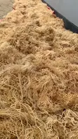 Grade A Sea Moss - Wholesale & Bulk - 2