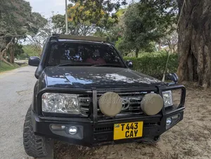 Toyota Land Cruiser Amazon 2004