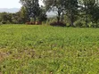 200 Acres Fertile Land for Sale in Handeni Mkata - 1