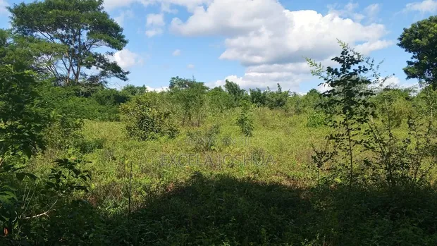 Farmland for Sale - Mbwewe, Chalinze, Pwani - 1