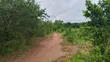 Farmland for Sale - Mbwewe, Chalinze, Pwani - 2