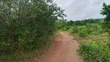 Farmland for Sale - Mbwewe, Chalinze, Pwani - 3