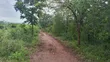 Farmland for Sale - Mbwewe, Chalinze, Pwani - 4