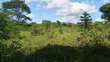 Farmland for Sale - Mbwewe, Chalinze, Pwani - 5
