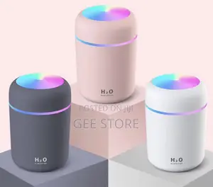 Portable Mini USB Cool Mist Humidifier & Aroma Diffuser