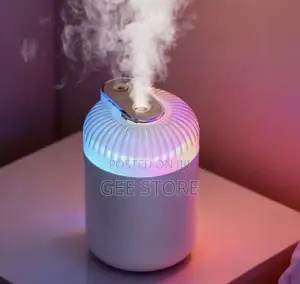 Dual Nozzle Portable USB Air Humidifier and Aroma Diffuser