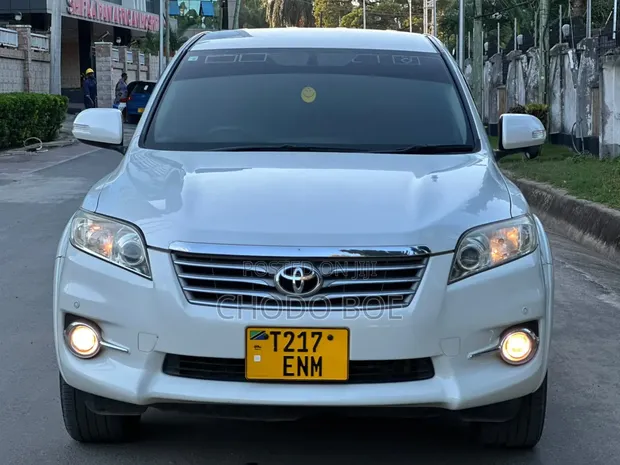 Toyota Vanguard 2010 Pearl - 1