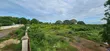 11 Acres Commercial Land for Sale, Kunduchi Beach - 3