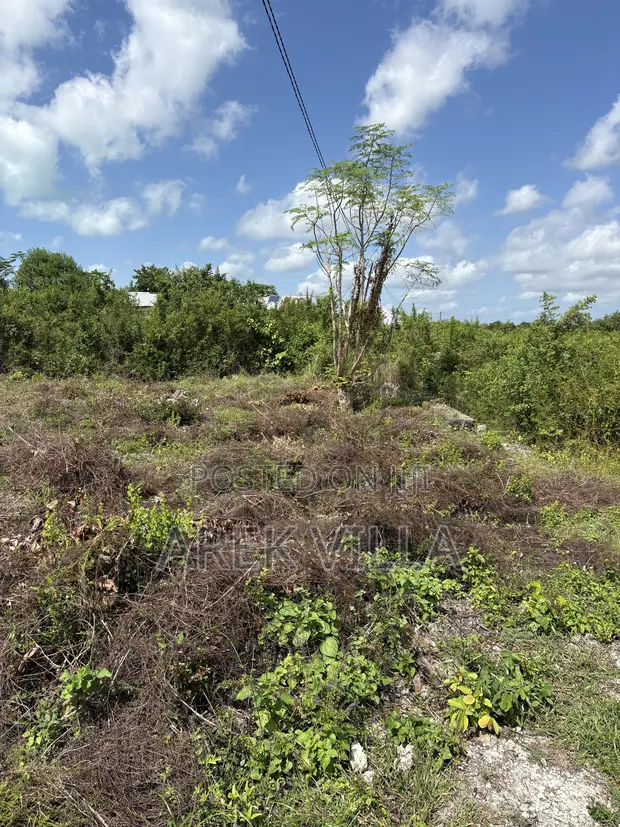 Prime Land for Sale in Jambiani, Zanzibar - 1