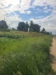 Commercial Plot for Sale - Kibaha Misugusugu (1 Acre) - 3