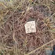 Commercial Plot for Sale - Kinondoni (Price Reduced) - 4