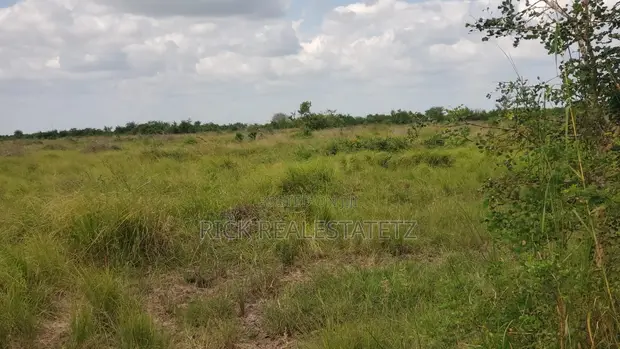 Shamba la Heka 15 Linauzwa, Bagamoyo - Makurunge - 1
