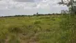 Shamba la Heka 15 Linauzwa, Bagamoyo - Makurunge - 1