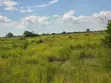 Shamba la Heka 15 Linauzwa, Bagamoyo - Makurunge - 2