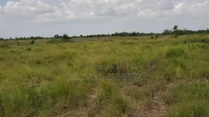 15 Hectare Farm for Sale, Bagamoyo - Makurunge