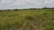 Shamba la Heka 15 Linauzwa, Bagamoyo - Makurunge - 3