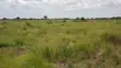Shamba la Heka 15 Linauzwa, Bagamoyo - Makurunge - 4
