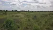 Shamba la Heka 15 Linauzwa, Bagamoyo - Makurunge - 5