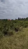 Land for Sale Kigamboni Geza Ulole - 5