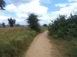 Land for Sale - 5 Acres, Kiwangwa Bagamoyo Main Road - 5