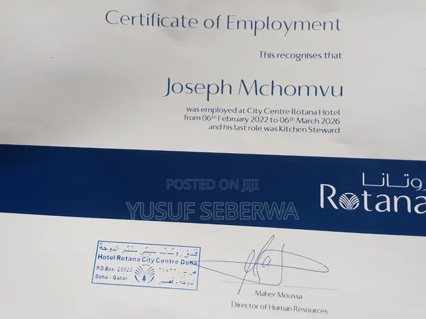 Joseph Julius McHomvu - Travel & Tourism CV - 1