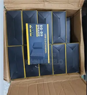 SG-D9 2-Way Computer Speaker