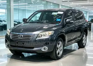 Toyota Vanguard 2009 Metallic Gray