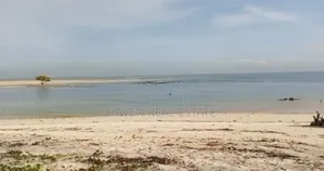 Beach Plot for Sale - Kigamboni Mwongozo