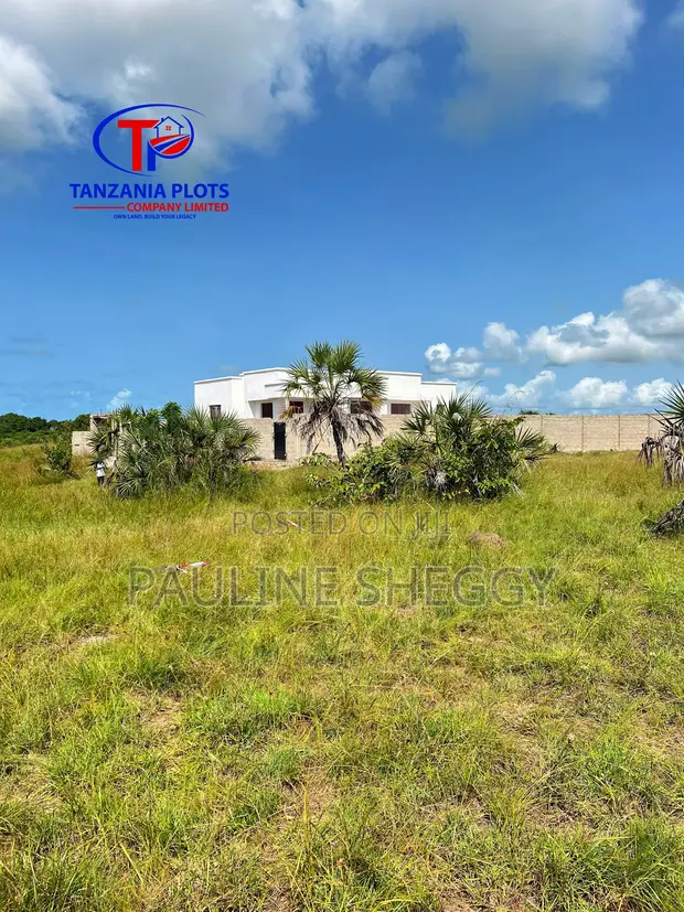 Puna City Land Plot, Kigamboni - 1