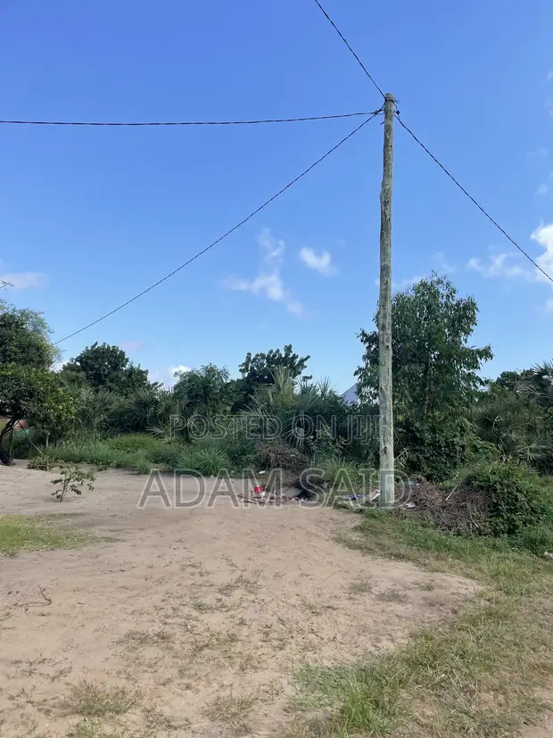 625 SQM Plot in Mbutu, Kigamboni for Sale - 1