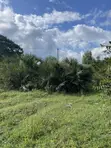 625 SQM Plot in Mbutu, Kigamboni for Sale - 2