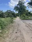 625 SQM Plot in Mbutu, Kigamboni for Sale - 3