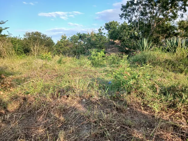 Two Plots for Sale - Kiluvya Madukani Kwa Sumaye - 1