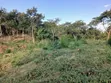 Two Plots for Sale - Kiluvya Madukani Kwa Sumaye - 4