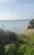 Beach Cliff Plot for Sale in Kikungwi, Zanzibar - 4