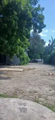 5 Bedroom House for Sale in Mikocheni - 4