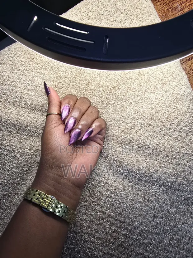 Hard Gel Stiletto Nails - Purple Cat Eye - 1