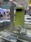 New Google Pixel 10 5G 256GB Yellow - 3
