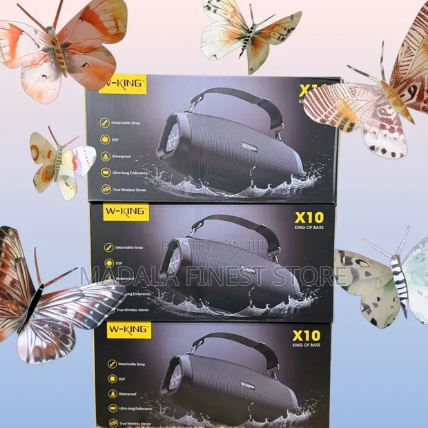 W-King X10 Outdoor Speaker - 1