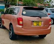 Toyota Corolla Fielder 2008 Orange - 4