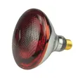 Heat Lamps for Chicks - TZS 15,000 - 1