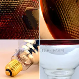 Heat Lamps for Chicks - TZS 15,000