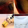 Heat Lamps for Chicks - TZS 15,000 - 3