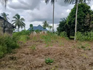Plot for Sale in Chanika - 1000 SQM with Title Deed