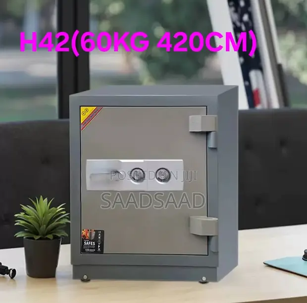 Safe 60 Kg - 1