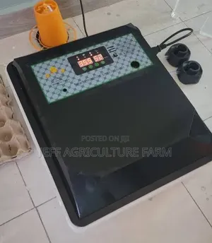Saba Saba Special: 64-Egg Incubator