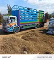 Scania 94D 310 Horsepower Truck - 5