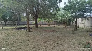 2 Hectares Land for Sale, Bunju B